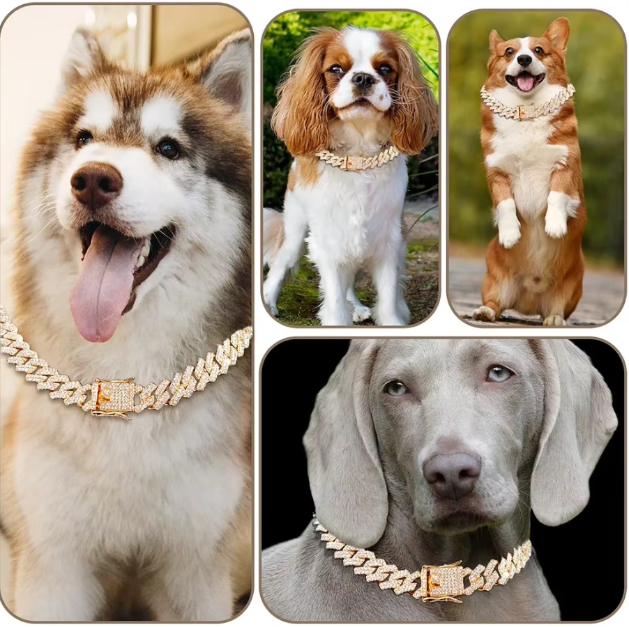 Diamond Collar Walking Metal Chain Collar with Design Secure Buckle, Pet Cat diamond Collar Jewelry Accessories